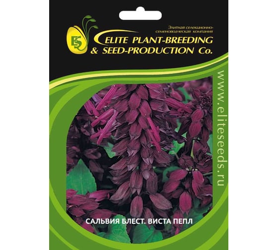 Семена ELITE PLANT-BREEDING & SEED PRODUCTION Co. Сальвия блестящая виста пепл 50 шт эс мини 1999943241