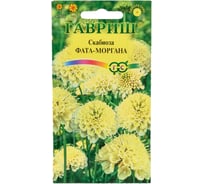 Семена ГАВРИШ Скабиоза темнопурпурная Фата-моргана махр. 6 шт. 1071858196