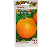 Семена ГАВРИШ Тыква Кустовая оранжевая 1 г 1999943645