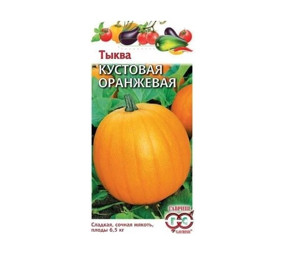 Семена ГАВРИШ Тыква Кустовая оранжевая 1 г 1999943645