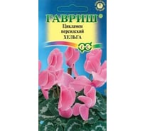 Семена ГАВРИШ Цикламен Хельга персидский 3 шт. 002487