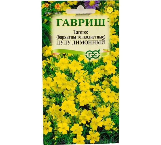 Бархатцы ГАВРИШ тонколист. Лулу лимонный Тагетес 0.05 г 005592 1