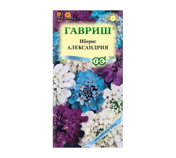 Иберис ГАВРИШ Александрия 0.1 г Альпийская горка DH 1071857687 1
