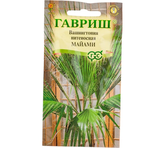 Вашингтония нитеносная ГАВРИШ Майами 3 шт. 10005835 1