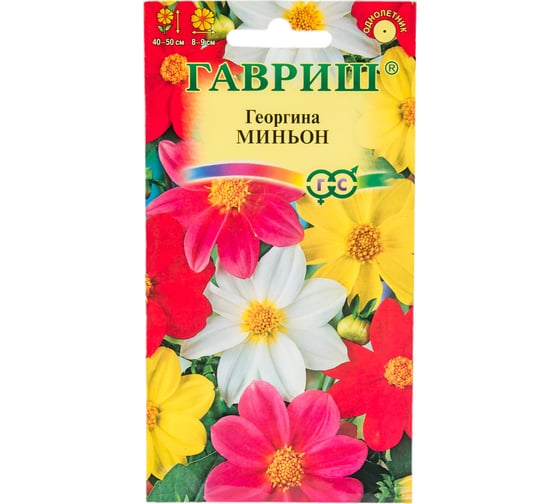Георгина ГАВРИШ Миньон, смесь 0.3 г 10006461 1