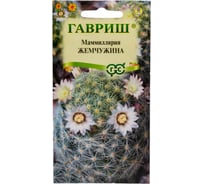 Маммиллярия шейдвелардиана, кактус ГАВРИШ Жемчужина 2 шт. 10711474