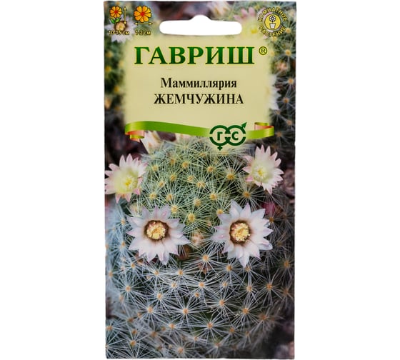 Маммиллярия шейдвелардиана, кактус ГАВРИШ Жемчужина 2 шт. 10711474