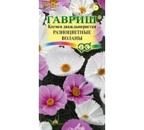 Космея ГАВРИШ Разноцветные воланы, смесь 0.3 г 1026995236