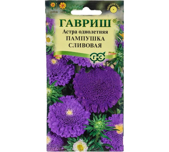 Астра ГАВРИШ Пампушка сливовая, однолетняя помпонная 0.3 г 10006544 1