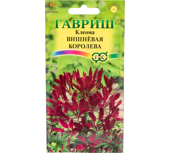 Клеома ГАВРИШ Вишневая королева 0.3 г 10001672 1