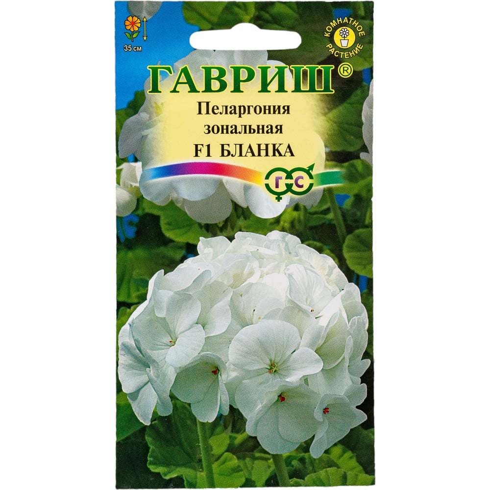 Пеларгония ГАВРИШ Бланка зональная 4 шт. 4602052 - выгодная цена ...