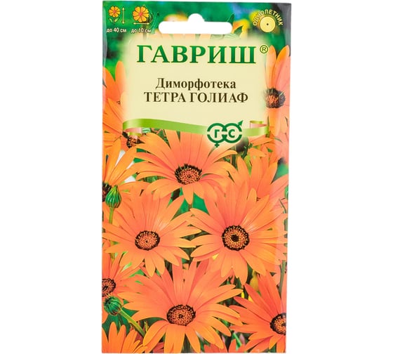 Семена ГАВРИШ Диморфотека Тетра Голиаф 0.1 г 1071857670