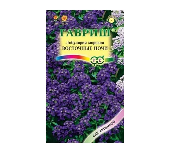 Семена ГАВРИШ Лобулярия Восточные ночи 0.05 г, серия Сад ароматов 1071859079 1