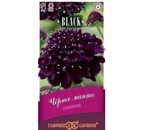 Семена ГАВРИШ Скабиоза пурпурная Чёрное манто, махровая, 0.2 г, серия Блэк 1026995019