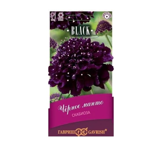 Семена ГАВРИШ Скабиоза пурпурная Чёрное манто, махровая, 0.2 г, серия Блэк 1026995019 1