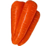 Семена ГАВРИШ Морковь гранулир. Шантенэ Роял 300 шт гель 10003979