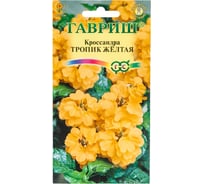 Кроссандра ГАВРИШ Тропик желтая 3 шт. Элитная клумба 10000048