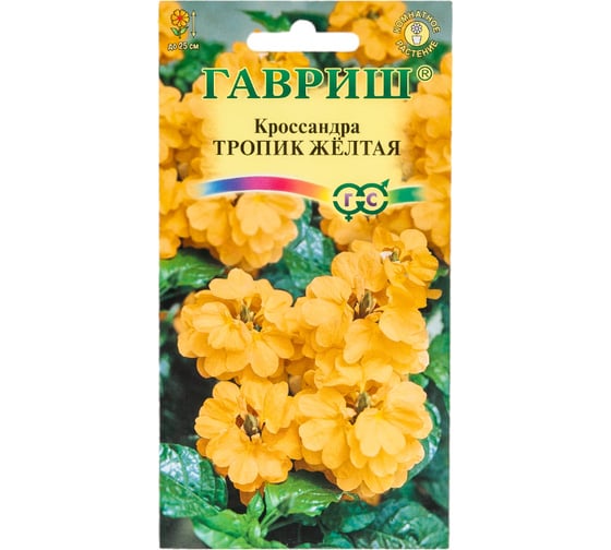 Кроссандра ГАВРИШ Тропик желтая 3 шт. Элитная клумба 10000048 1