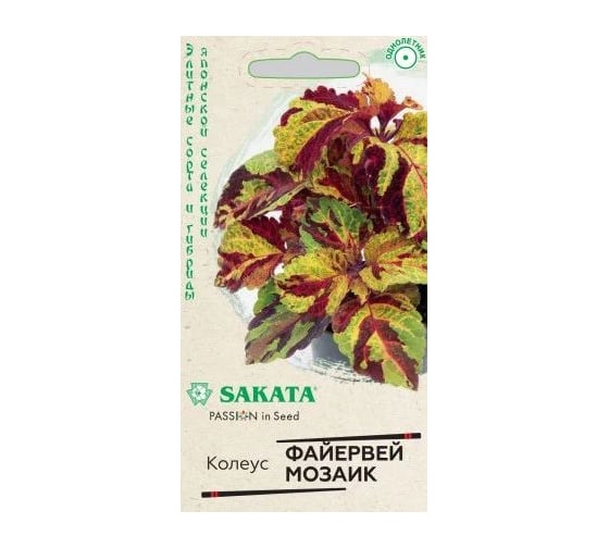 Колеус Файервей Мозаик ГАВРИШ 4 шт. Саката Н20 1071857916