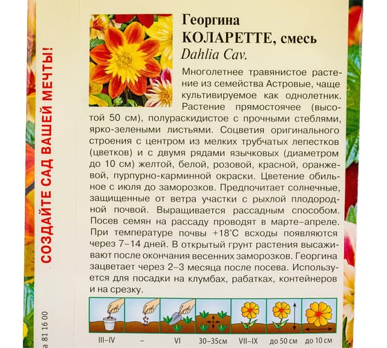 Георгина ГАВРИШ Коларетте 0.2 г 10006622