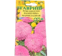 Астра ГАВРИШ Пампушка мармеладная, однолетняя помпонная, розовая 0.3 г 10006539