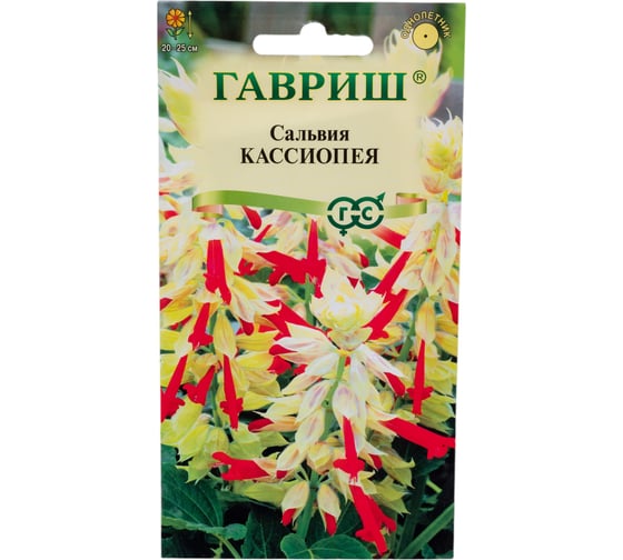 Сальвия ГАВРИШ Кассиопея, карликовая 4 шт. 1071858221 1