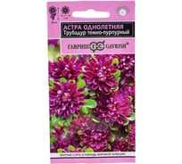 Астра ГАВРИШ Трубадур темно-пурпурный, однолетняя 0.05 г Эксклюзив 1071853885