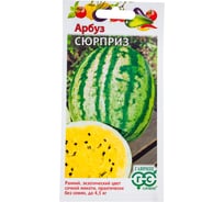 Арбуз ГАВРИШ Сюрприз 5 шт. с желтой мякотью 10711431