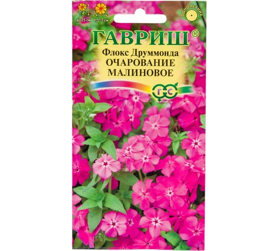 Флокс ГАВРИШ Очарование малиновое, Друммонда 0.05 г 10006773 1