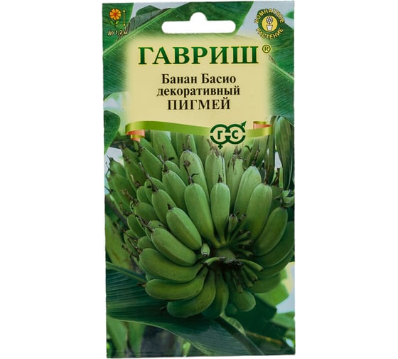 Банан Басио декоративный ГАВРИШ Пигмей 3 шт. 4601943 1