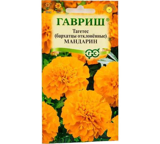 Бархатцы ГАВРИШ откл. Мандарин Тагетес 0.3 г 10006569 1