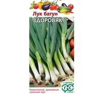 Лук ГАВРИШ батун Здоровяк 0.5 г 1071856549