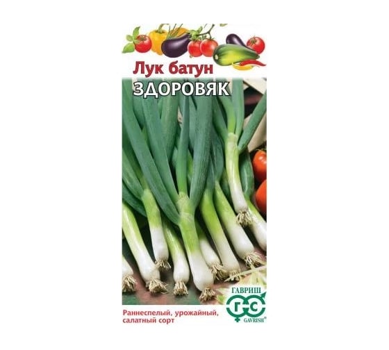 Лук ГАВРИШ батун Здоровяк 0.5 г 1071856549
