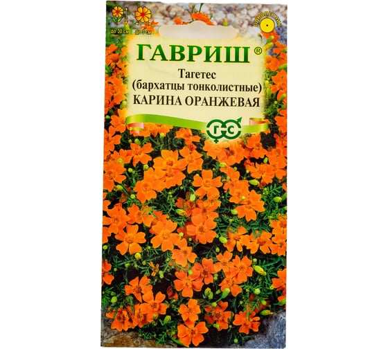 Бархатцы ГАВРИШ тонколист. Карина оранжевая Тагетес 0.05 г 005591