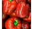 Перец ГАВРИШ Красный куб 0.1 г 1071858093 3