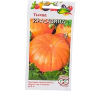 Тыква ГАВРИШ Красавица 1.0 г 1999943650
