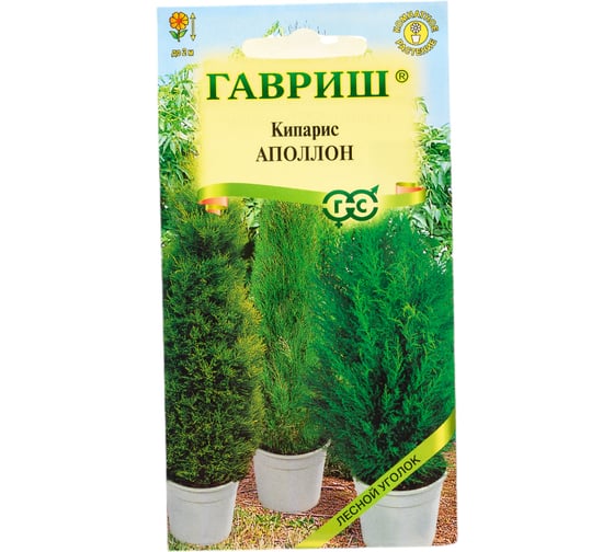 Кипарис ГАВРИШ Аполлон вечнозеленый 0.1 г 1999943779 1