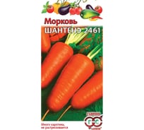 Морковь ГАВРИШ Шантенэ 2461 2.0 г 166