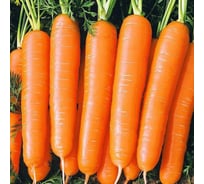 Морковь ГАВРИШ гранулир. Московская зимняя А 515 300 шт. гель 4601813