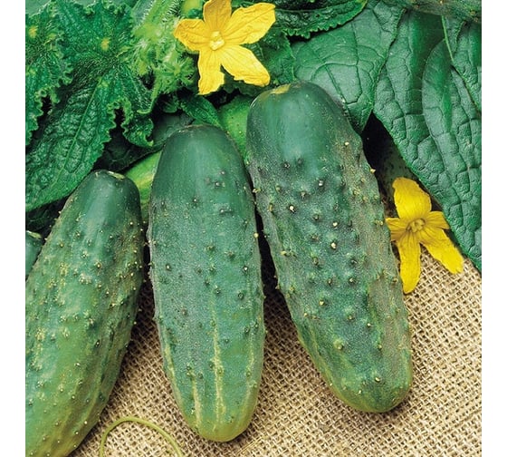 АЭЛИТА Огурец Кустовой Пч, 20шт Аэлита 00-00593357