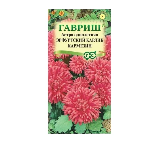 Семена ГАВРИШ Астра Эрфуртский карлик Кармезин, однолетняя (красная), 0,3 г 00001722 1