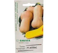 Семена ГАВРИШ Тыква Атлас, мускатная 5 шт Саката 1912236346