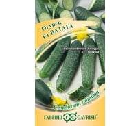 Семена ГАВРИШ Огурец Ватага 10 шт авторские 70000827