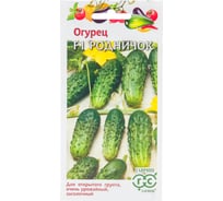 Семена ГАВРИШ Огурец Родничок 10 шт 00001050