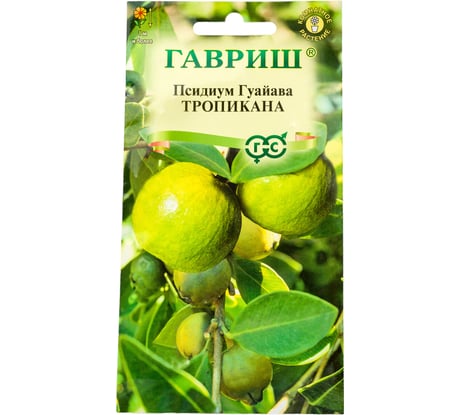 Семена ГАВРИШ Гуайава Тропикана 0,2 г 10000457