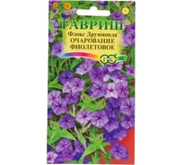 Семена ГАВРИШ Флокс Очарование фиолетовое, Друммонда, 0,05 г 10006744