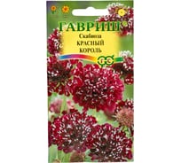 Семена ГАВРИШ Скабиоза темнопурпурная Красный король, махровая, 6 шт. 1071858193