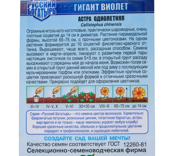 Семена ГАВРИШ Астра Гигант виолет, однолетняя (игольчато-коготковая), 0,05 г, серия Русский богатырь 1071856725