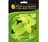 Семена ELITE PLANT-BREEDING & SEED PRODUCTION Co. Колеус блюме визард голден 70 шт эс мини 1999943224 2