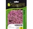 Семена ELITE PLANT-BREEDING & SEED PRODUCTION Co. Алиссум эстер боннет дип пинк 50 шт эс мини 1026993591 1